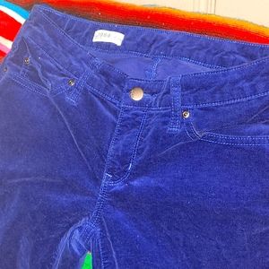 Gap blue velvet pants. Size 27/4